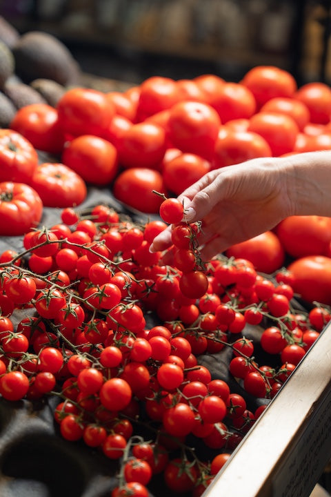 Hand picking cherry tomatoes from a pile with blurred background